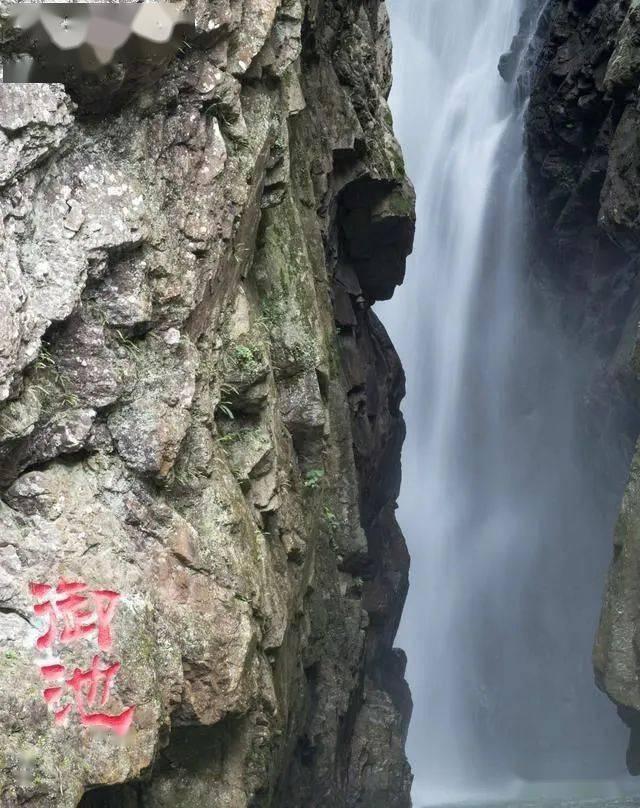 发现知识新星,加入打工人带饭,如何在周末准备一周七天的菜谱?知识星球!